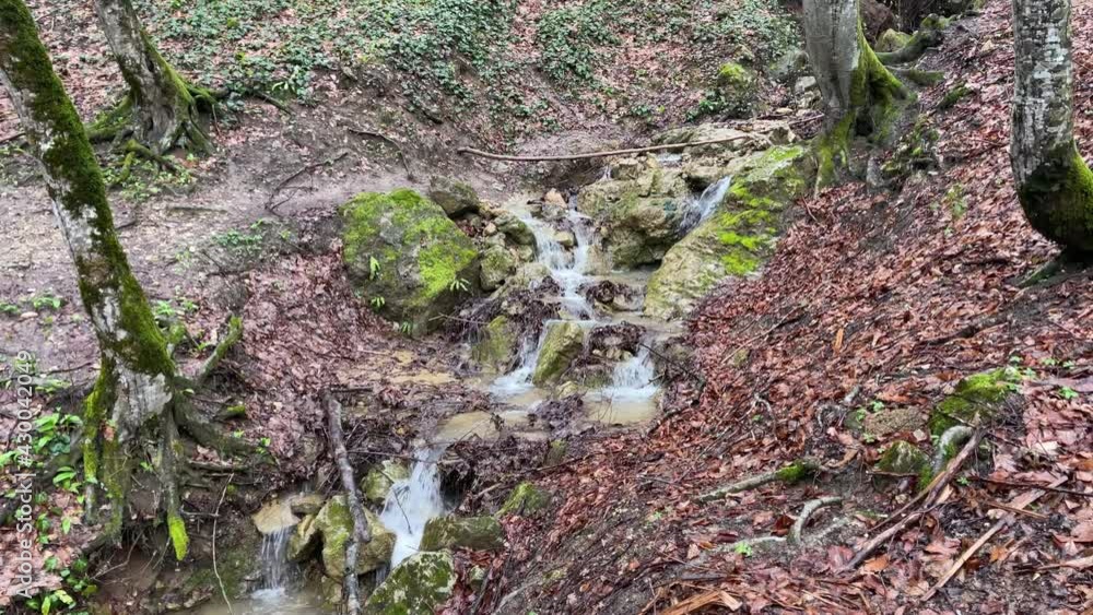 Small rapid stream flowing on rocks. Mountain clean waterway flowing down through mountainous terrain in wood. Small rapid stream flowing on rocks. Mountain clean waterway flowing down through mountainous terrain in wood.