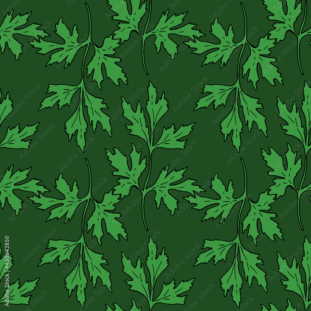 Vector seamless pattern of a sprig of fresh green parsley with a black outline on a darker green background. hand-drawn parsley sprig in sketch style, repeating the pattern on the square template for Vector seamless pattern of a sprig of fresh green parsley with a black outline on a darker green background. hand-drawn parsley sprig in sketch style, repeating the pattern on the square template for