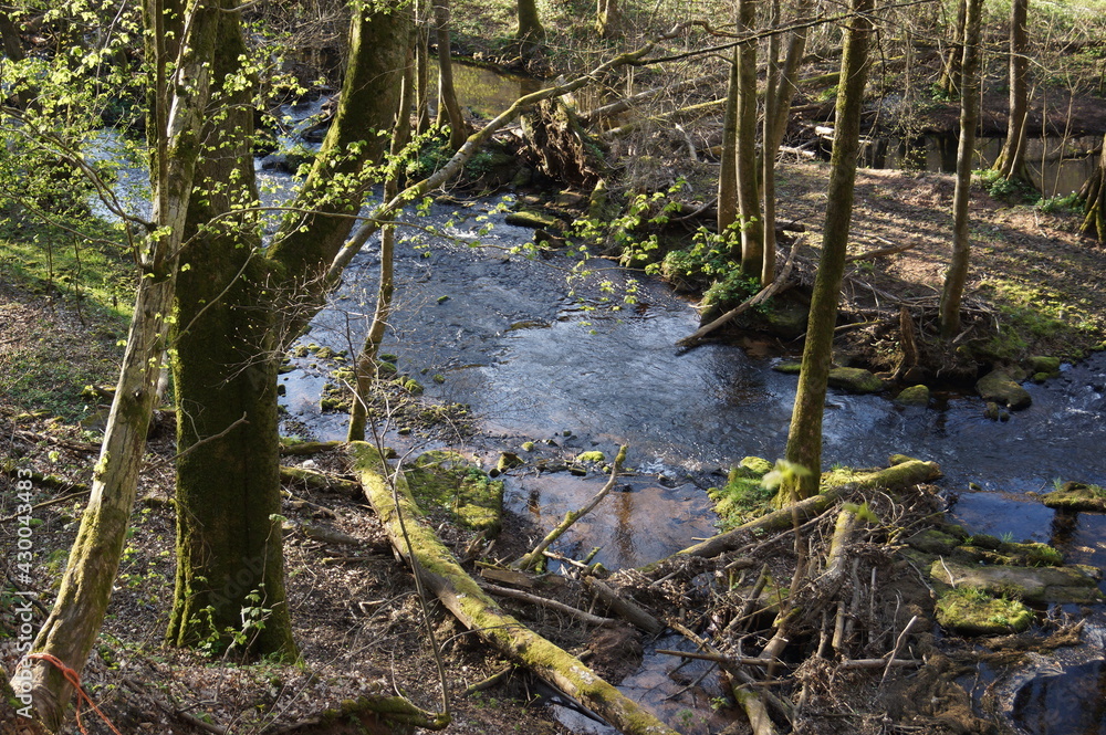 water,trees,the beauty of nature water,trees,the beauty of nature