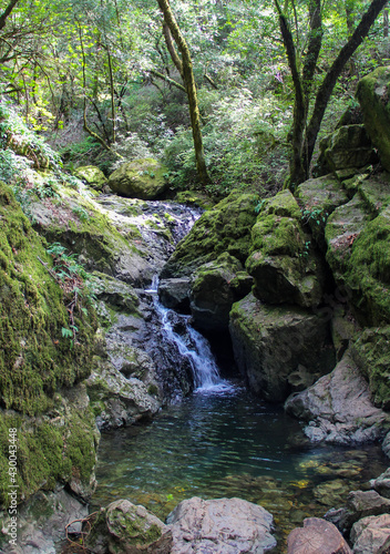 waterfall in the forest