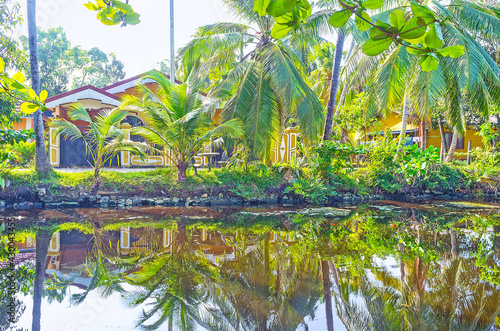 The shady banks of Hamilton's Canal, Sri Lanka photo