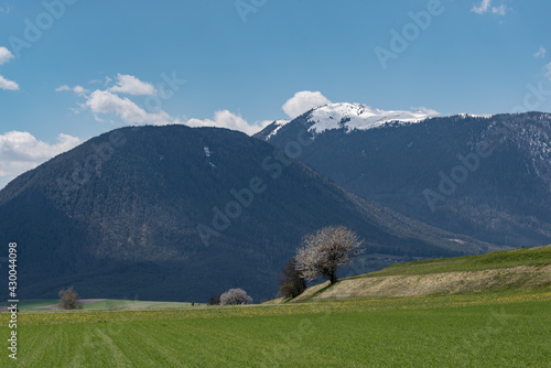 Frühlingslandschaft in Tirol