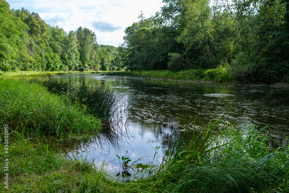 slow forest river in summer green woods with rocks in stream slow forest river in summer green woods with rocks in stream