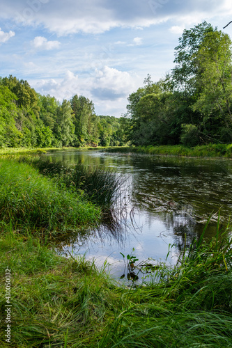 Fototapeta Naklejka Na Ścianę i Meble -  slow forest river in summer green woods with rocks in stream
