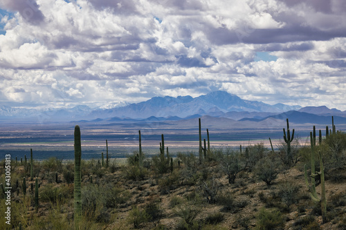 Mountain Range of Tucson