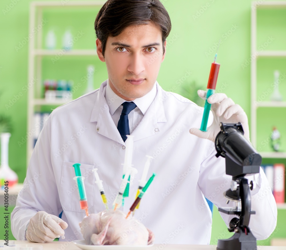 Lab assistant testing GMO chicken Lab assistant testing GMO chicken