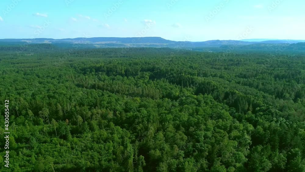 Aerial panorama view of a Swiss green forest, drone flying over lush trees Aerial panorama view of a Swiss green forest, drone flying over lush trees