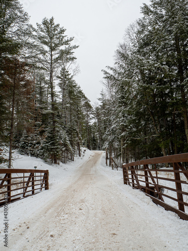 Snowmobile/hiking trail through the woods in winter. Snow-covered ground and a bridge leading you into the forest.