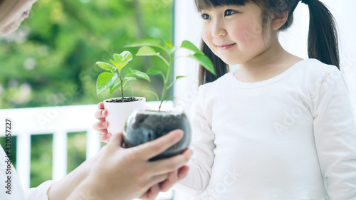 植物を見る女の子　環境イメージ