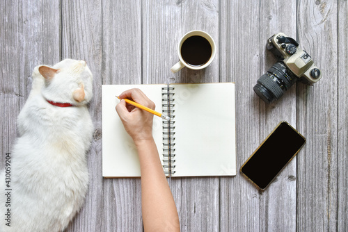 Still life, business or traveler memo concept, Top view image of open notebook with vintage camera coffee smartphone and cat disturb with blank pages on old brown wooden background