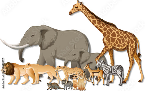 Group of wild African animals on white background © blueringmedia