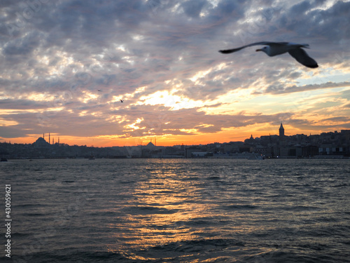 ФЛАГ ТУРЦИИ ЧАЙКИ