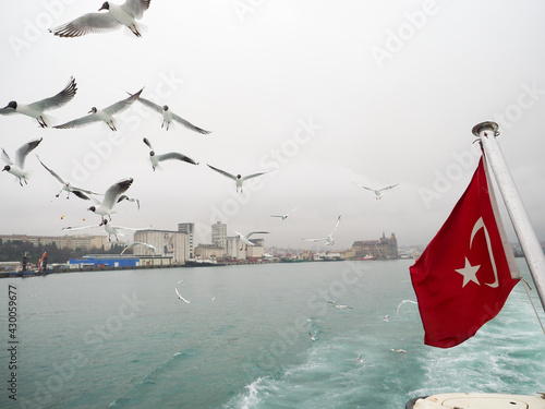 ФЛАГ ТУРЦИИ ЧАЙКИ
