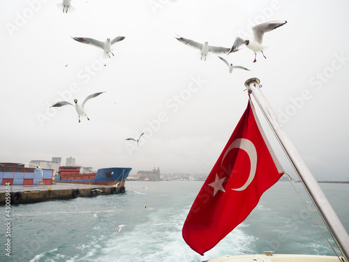 ФЛАГ ТУРЦИИ ЧАЙКИ