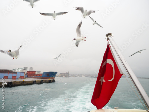 ФЛАГ ТУРЦИИ ЧАЙКИ