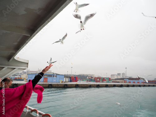 ФЛАГ ТУРЦИИ ЧАЙКИ