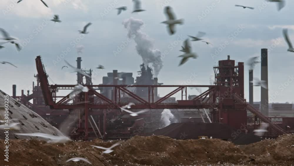 Steel Factory with thousands of flying seagulls. Smoke stacks and dead fish. Dystopian Tight Shot filmed in Hamilton Ontario April 20th 2021 on 6k Steel Factory with thousands of flying seagulls. Smoke stacks and dead fish. Dystopian Tight Shot filmed in Hamilton Ontario April 20th 2021 on 6k
