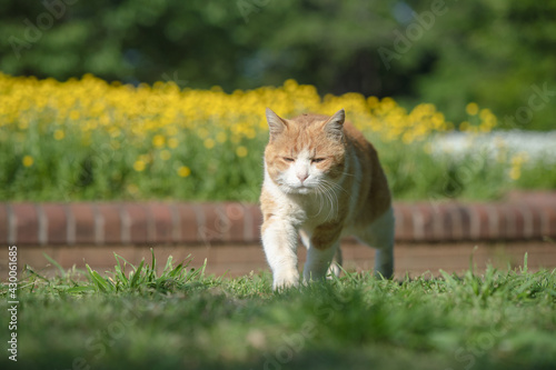 花壇の前で
