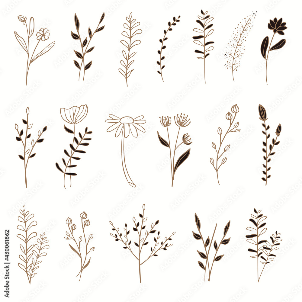 Set of gold floral elements with hand drawn style illustration vector Set of gold floral elements with hand drawn style illustration vector