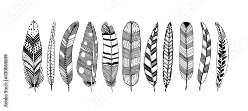 Rustic decorative feathers vector collection. Hand drawn black tribal bird feathers. Ink illustration isolated on white background. Ethnic boho style hand drawing. Outlined graphic ornament.