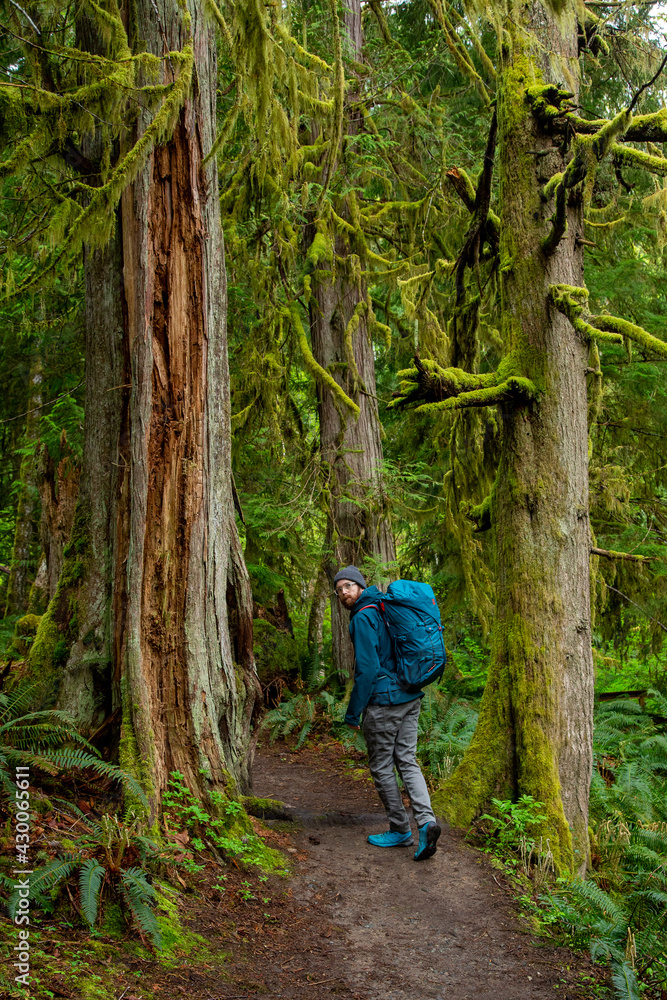 Exploring trails on Vancouver Island, Self Portraits Exploring trails on Vancouver Island, Self Portraits