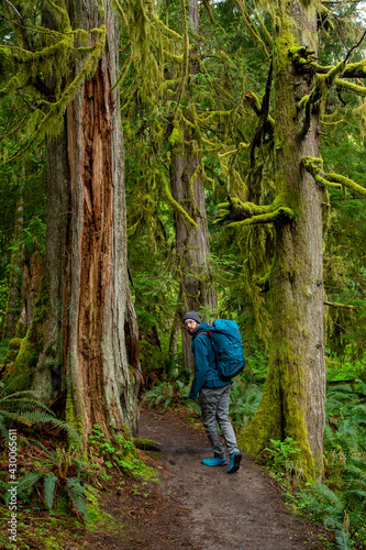 Exploring trails on Vancouver Island, Self Portraits