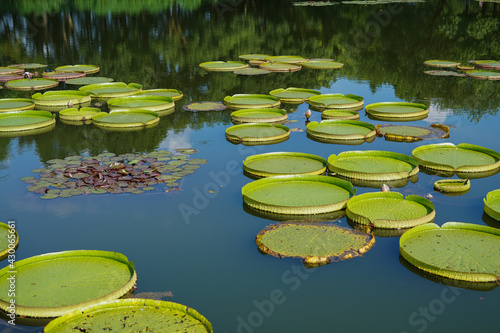 Victoria Warren in the pond