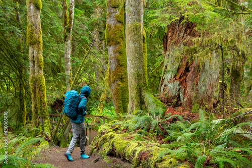 Exploring trails on Vancouver Island, Self Portraits