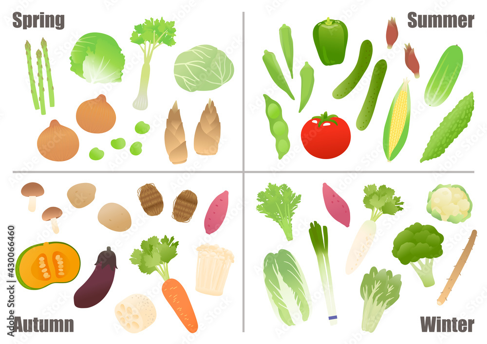 野菜 ベクターイラストセット Stock Vector Adobe Stock 野菜 ベクターイラストセット Stock Vector Adobe Stock