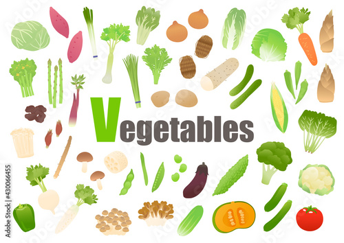 野菜　ベクターイラストセット