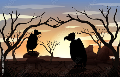 Silhouette Vulture and Forest Scene at sunset time
