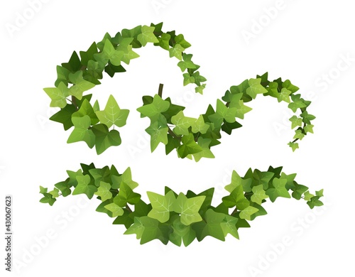 Ivy plant branch cartoon vector illustration. Climbing vine.