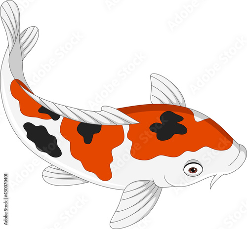 Cartoon cute koi fish on white background