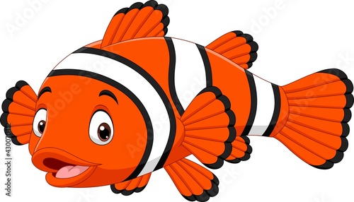 Cute clown fish cartoon on white background © tigatelu