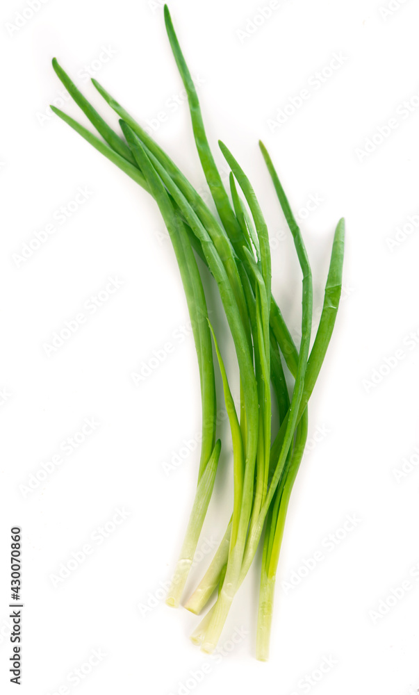 Spring onions are rich in vitamins,minerals and natural compound. Green onions with rope on white background. Spring onions are rich in vitamins,minerals and natural compound. Green onions with rope on white background.
