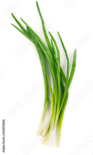 Spring onions are rich in vitamins minerals and natural compound. Green onions with rope on white background.