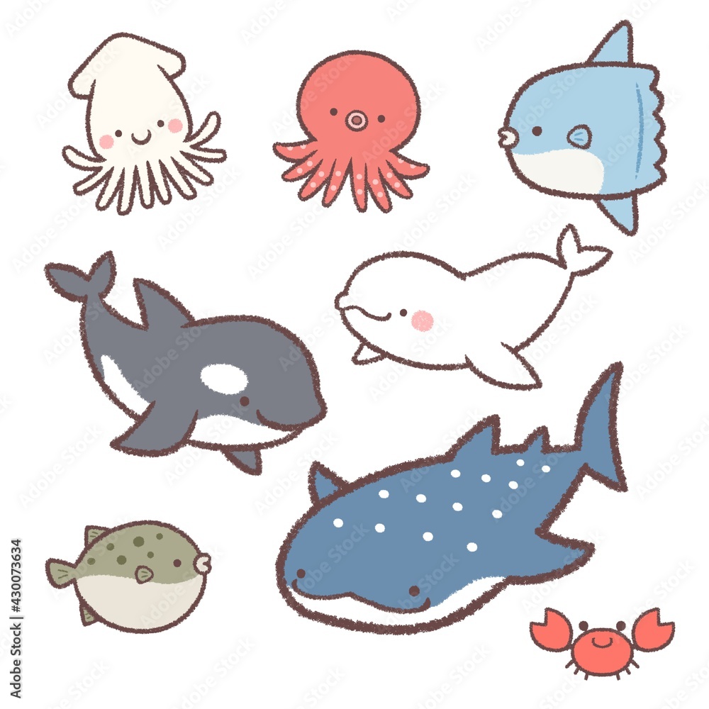 海の生き物セット 海の生き物セット