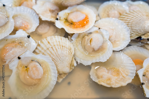 Fresh scallops in a grilled buffet restaurant in Thailand