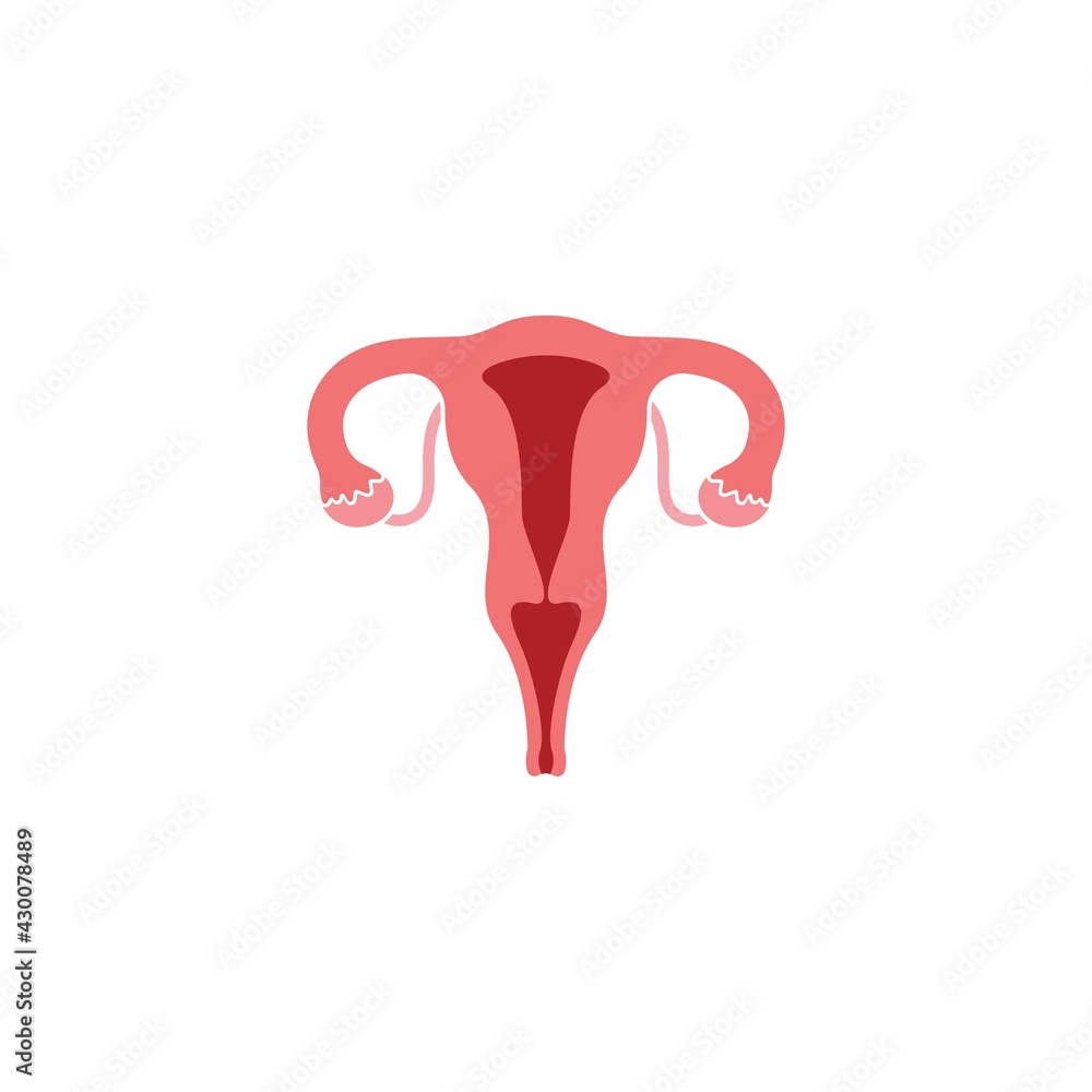 female reproduction icon vector illustration design female reproduction icon vector illustration design