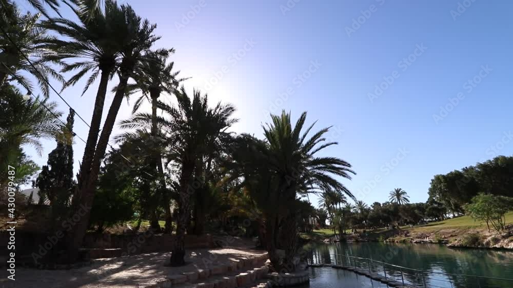 A large pool near tall palm trees, in Gan Hashlosha Park in the Beit She'an Valley A large pool near tall palm trees, in Gan Hashlosha Park in the Beit She'an Valley