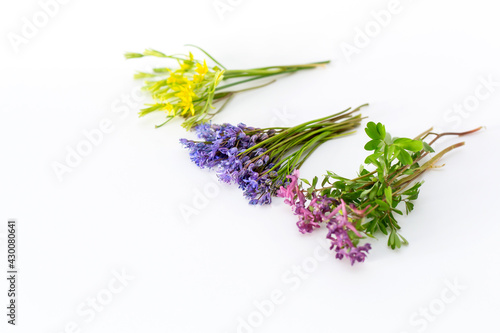 Wildflowers  isolated on a white background.