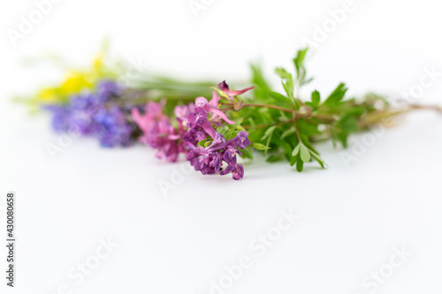 Wildflowers, isolated on a white background.