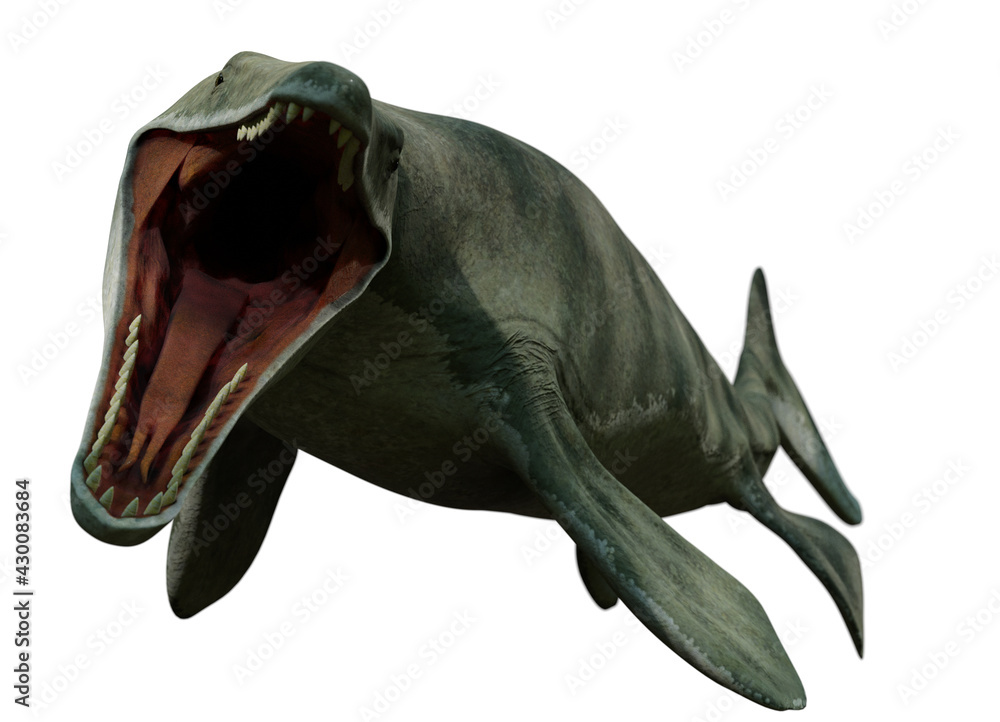 Mosasaurus, oceanic lizard, extinct Mosasaur between 70 and 66 million ...