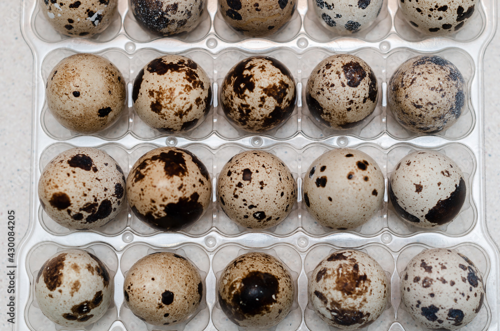 quail eggs in a package, top view quail eggs in a package, top view