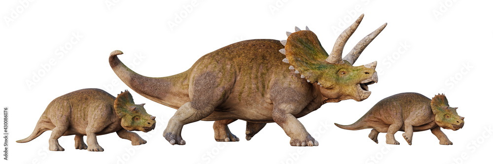 Fototapeta premium Triceratops horridus, dinosaur with babies, set of isolated on white background