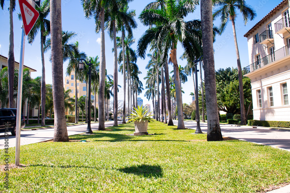 Obraz premium Royal Palm Way boulevard in Palm Beach, Florida