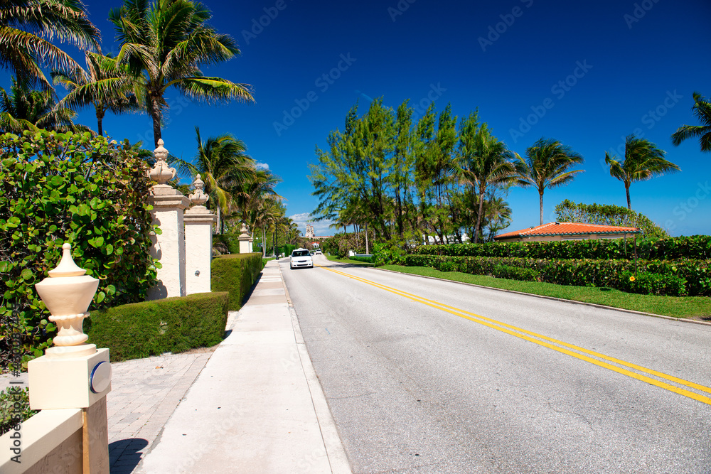 Palms and ocean along the city promenade, Palm Beach, Florida