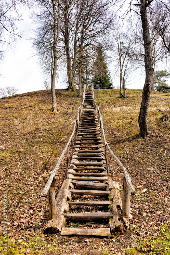 Wooden stairs in the spring in the park