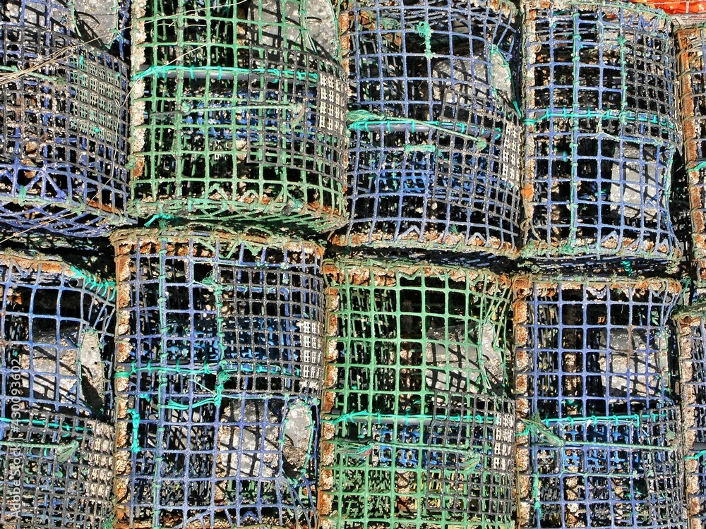 Lobster Catcher in the fishing harbor 
