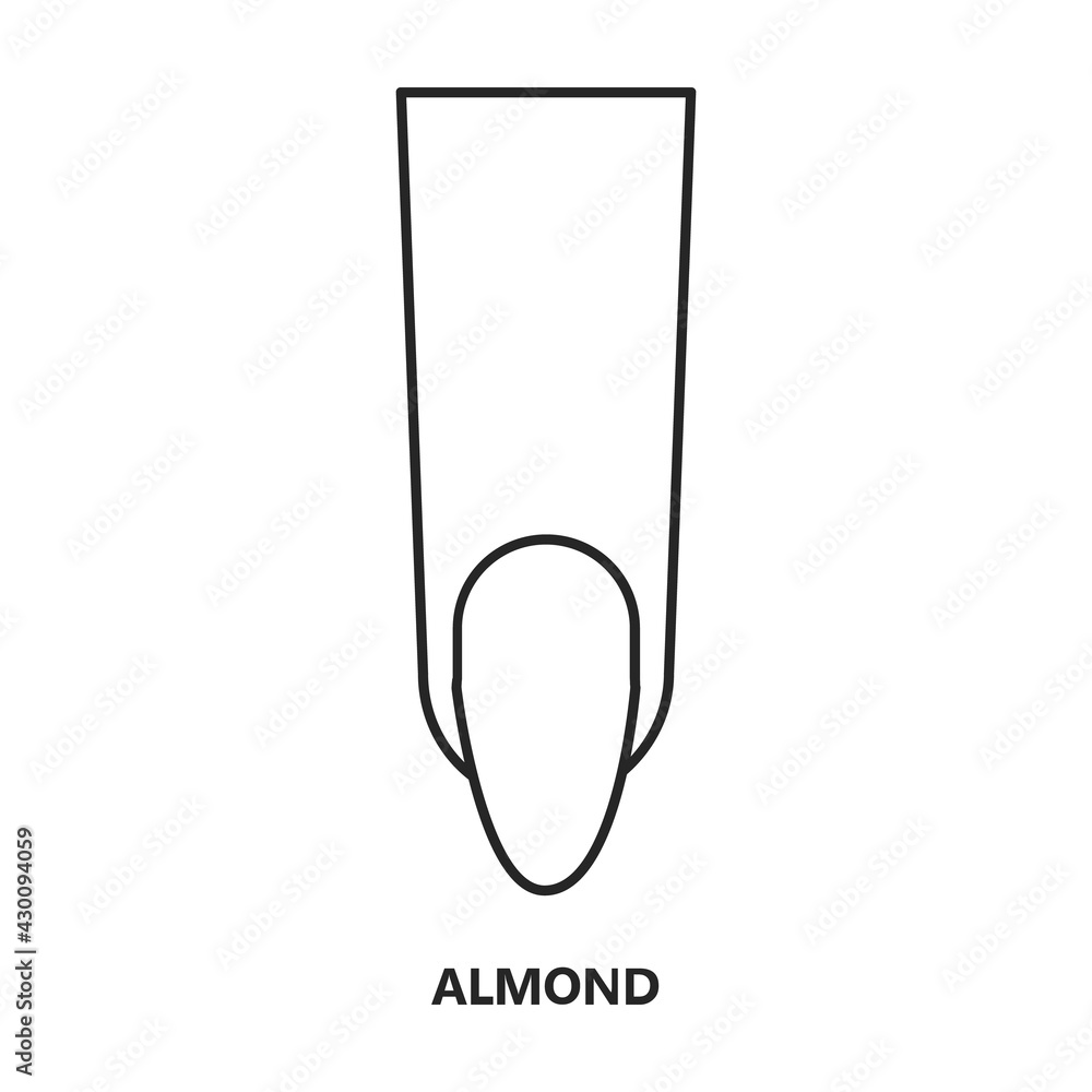 Nail shape vector outline icon. Vector illustration nail shape on white background. Isolated outline illustration icon of manicure. Nail shape vector outline icon. Vector illustration nail shape on white background. Isolated outline illustration icon of manicure.